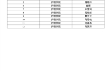 護理學(xué)院關(guān)于2025年獎補專項助學(xué)金推薦人選的公示